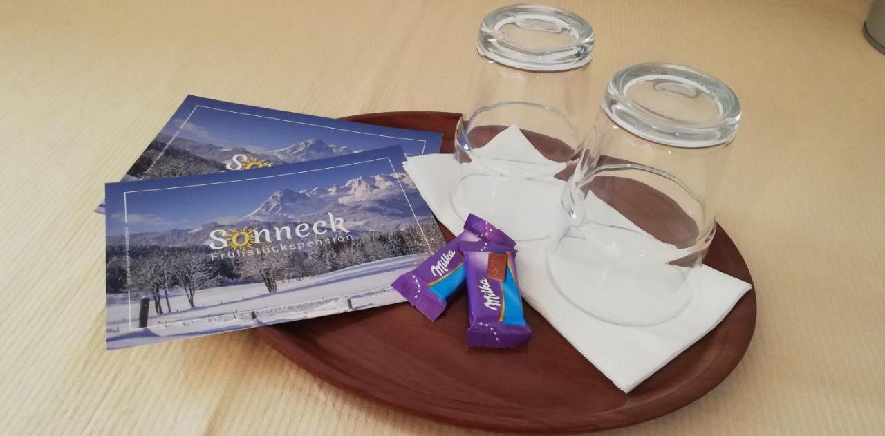 Sonneck Pension Pfarrwerfen Kültér fotó