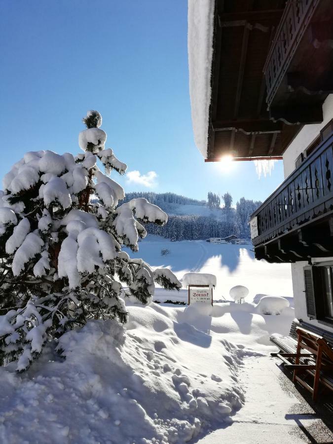 Sonneck Pension Pfarrwerfen Kültér fotó